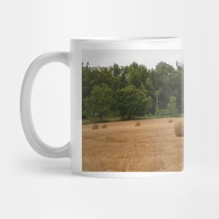 Made Hay while the Sun Shone Mug